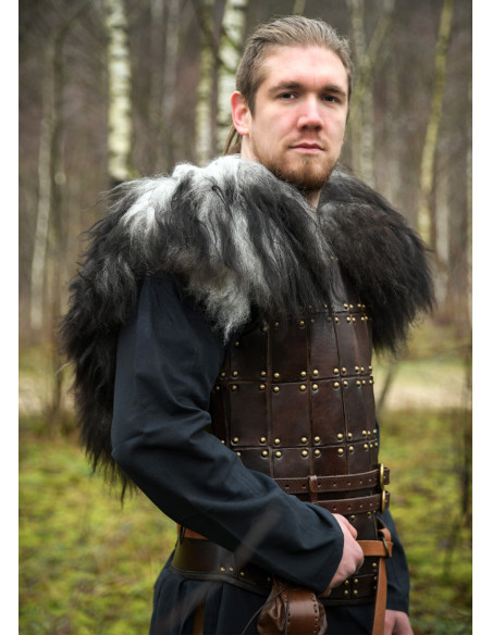 Skulderbetræk til krigere i nordisk...