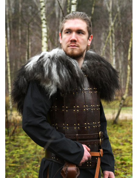 Skulderbetræk til krigere i nordisk...