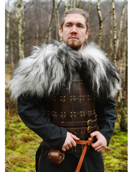 Skulderbetræk til krigere i nordisk...