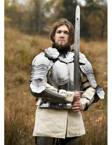 Pareja de hombreras góticas, acero...