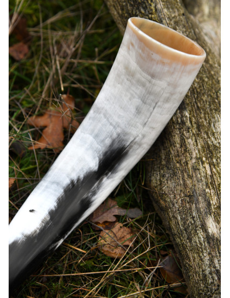 Vikingehorn udskåret design af ravn...