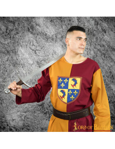 Middeleeuwse tweekleurige heraldische schildtabard,...