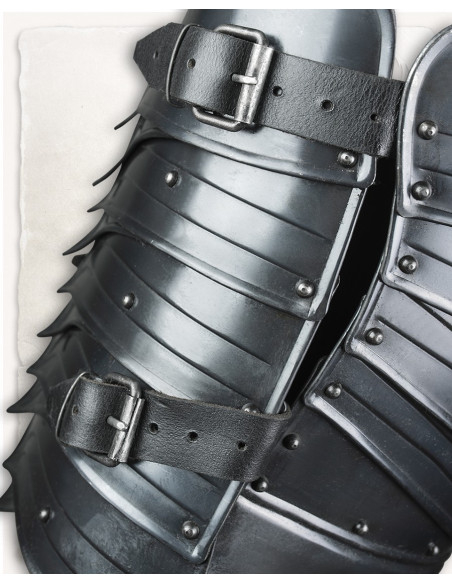 Middeleeuwse borstplaat in verouderd...