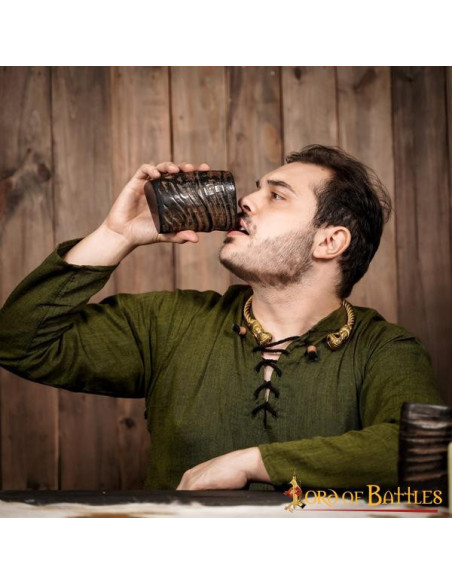 Set van 2 vikingglazen met hoorn