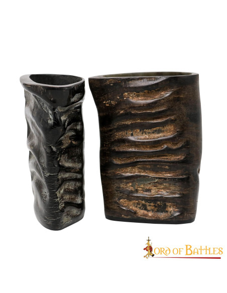 Set van 2 vikingglazen met hoorn