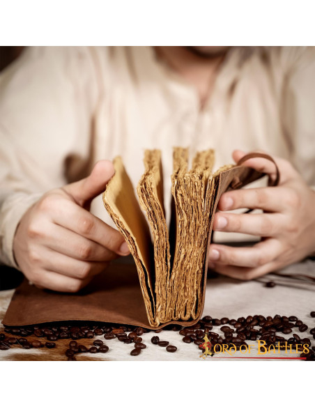 Diario de notas medieval  (120 páginas)