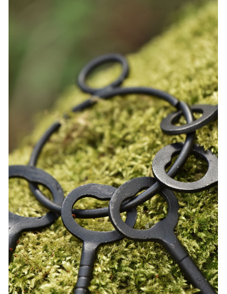 Set van 5 sleutels en sleutelhanger...