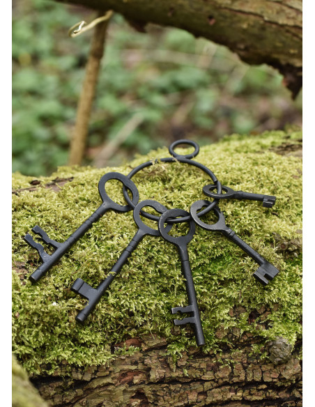 Set van 5 sleutels en sleutelhanger...