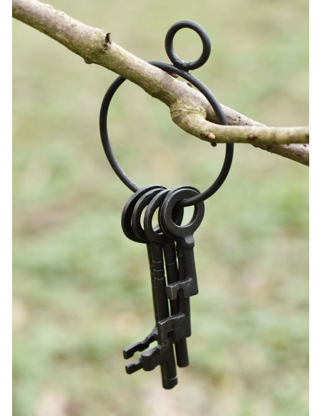 Set van 5 sleutels en sleutelhanger...