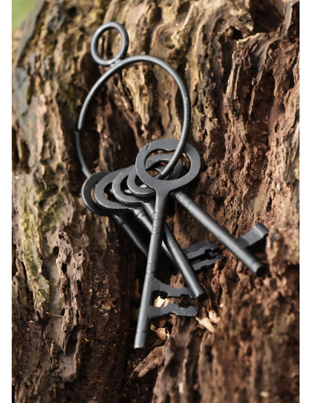 Sæt med 5 nøgler og nøglering til det...