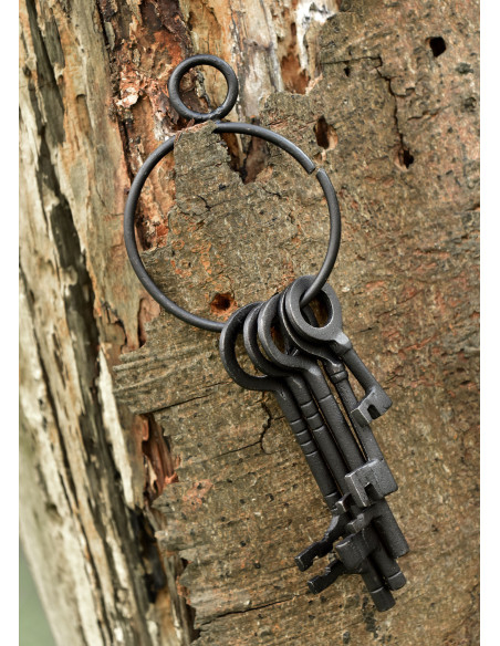 Set van 5 sleutels en sleutelhanger...