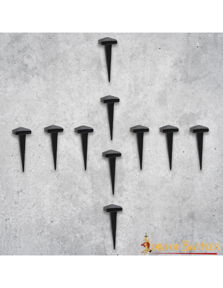 Set van 10 handgesmede ijzeren spijkers Set van 10 handgesmede ijzeren spijkers