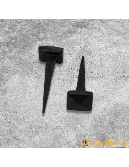 Set van 10 handgesmede ijzeren spijkers Set van 10 handgesmede ijzeren spijkers