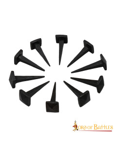 Set van 10 handgesmede ijzeren spijkers 2