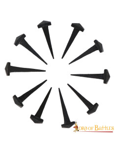 Set 10 Clavos de hierro forjados a mano