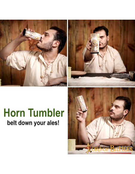 Vikingschip in ossenhoorn