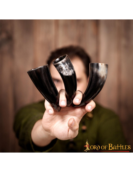 Set mit 3 Wikinger-Ochsenhörnern (100...
