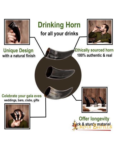 Set van 3 Viking ossenhoorns (100 ml.)