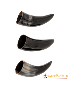 Set van 3 Viking ossenhoorns (100 ml.)