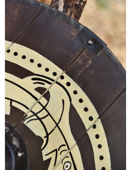Handbeschilderd Vikingschild met...