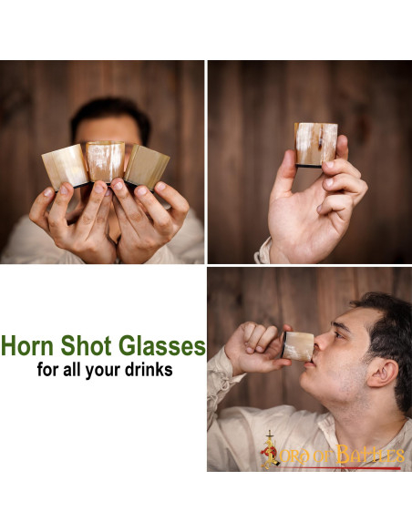 Sæt med 3 vikinge-shotglas med naturhorn