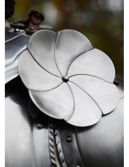 Paar middeleeuwse besagues voor...