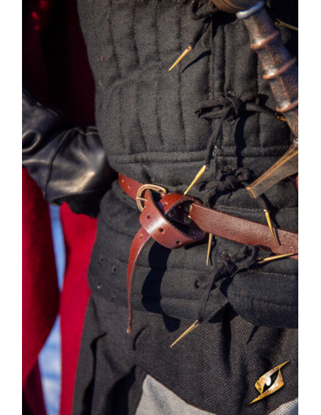 Holster met riem voor zwaarden,...