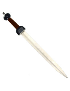 Functioneel gladiuszwaard 2