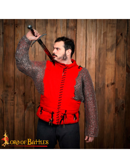 Hombros y mangas de malla con anillas...