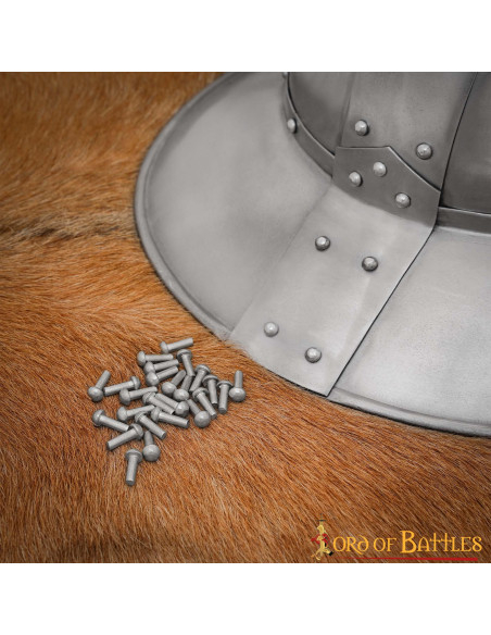 Pakke med 25 svampehoveder stålnitter...