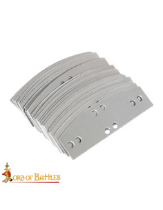 Packung mit 100 Stahlplatten für die Lamellenpanzerung... 2