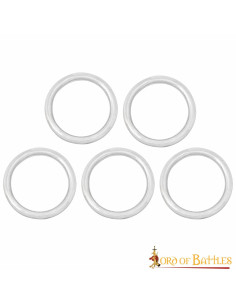 Packung mit 5 vernickelten Stahlringen für Gürtel (2,54 cm)