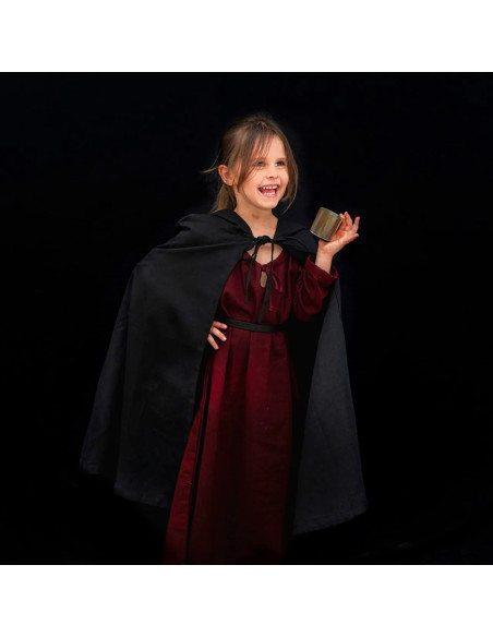 Medieval Knight Adventurer...