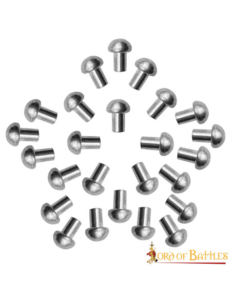 Pakke med 100 svampehoved stålnitter...