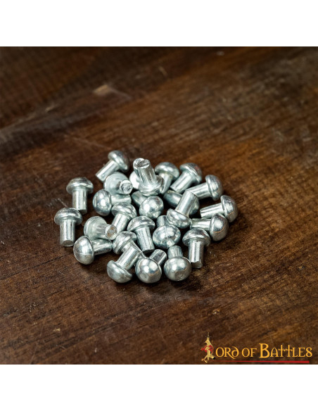 Pakke med 100 svampehoved stålnitter...