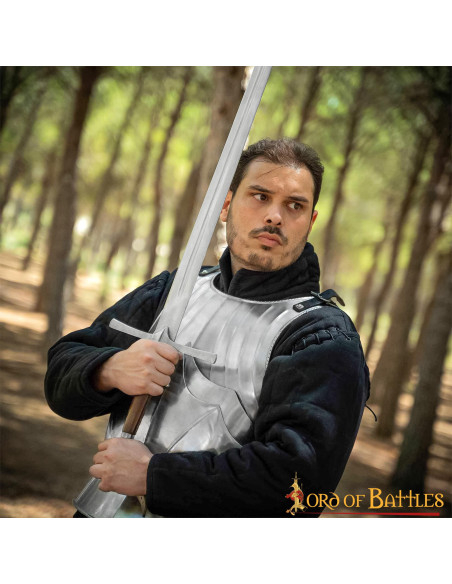 Coraza gótica medieval en acero,... Coraza gótica medieval en acero,...
