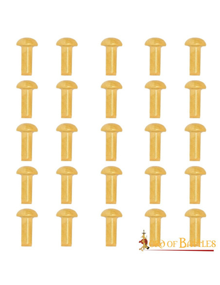 Pakke med 25 champignonnitter af... Pakke med 25 champignonnitter af...