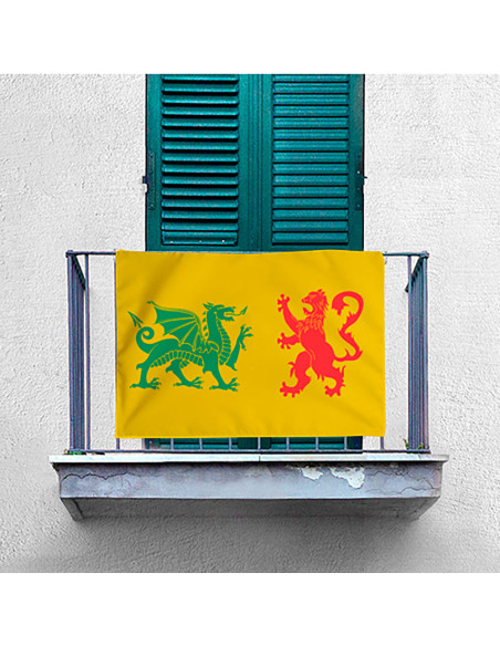 Medieval Royal Sueva Dynasty Banner...