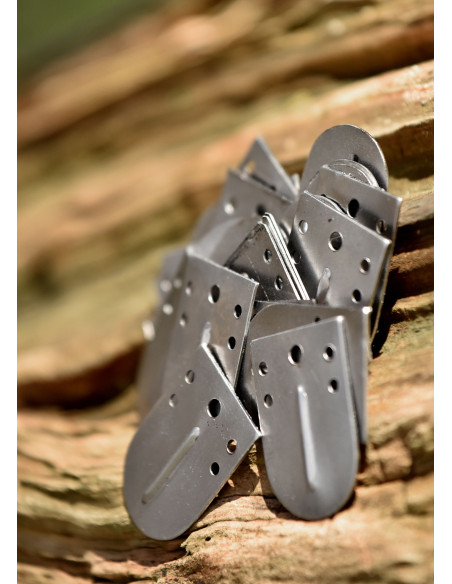 Pak van 25 stuks voor lamellair...