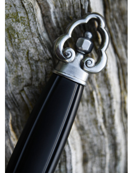 Tai Chi-zwaard om te oefenen