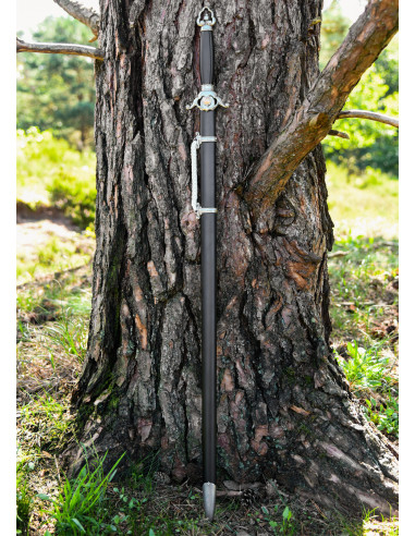 Tai Chi sværd til træning