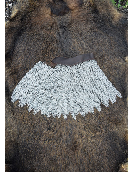 Alpartaz gegalvaniseerde ringen en...