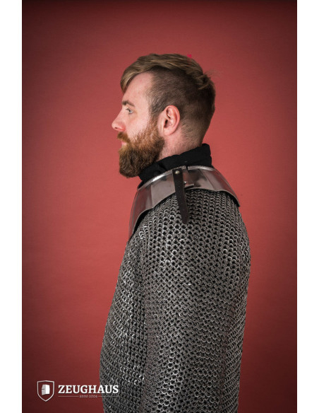 Middeleeuwse geschubde halskraag van...