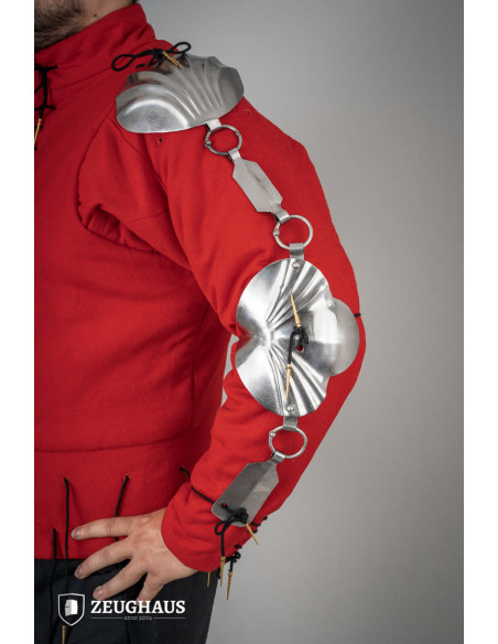 Gepolijst stalen Renaissance...