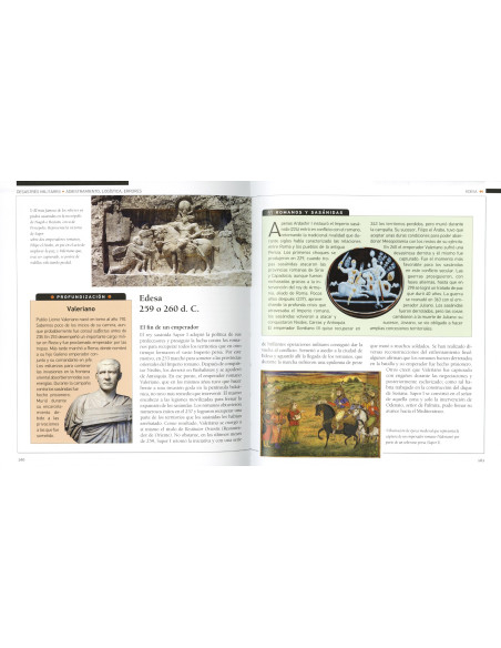 Libro Desastres militares (En Español)