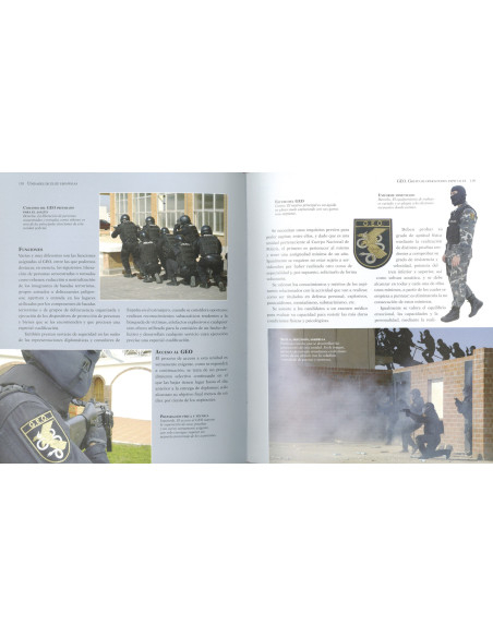 Boek Spaanse elite-eenheden (in het...