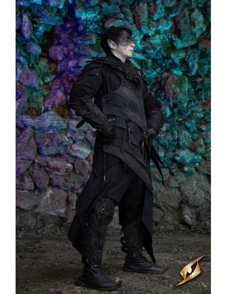 Lederbeinschienen des...