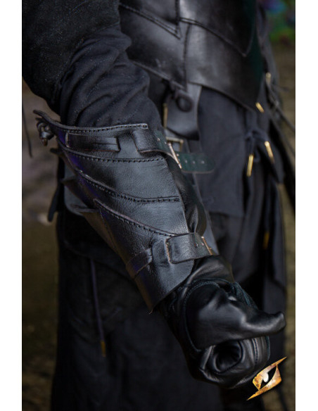 Lederarmschienen des...