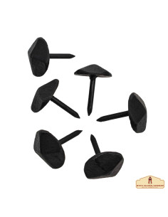 Set van 6 smeedijzeren spijkers zwart afgewerkt (2,5 cm.)