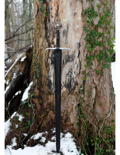 Italiensk sværdhånd og en halv, funktionel 2